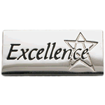 Excellence Award - Silver